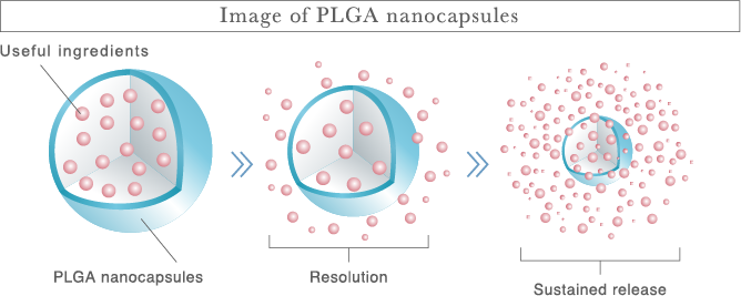 Image of PLGA nanocapsules
